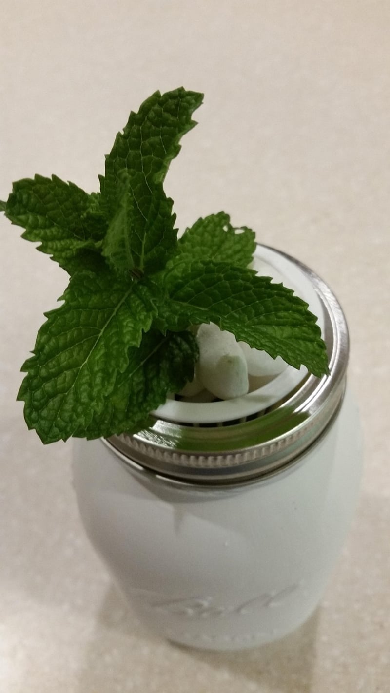Wall-Mounted Mason Jar Planters